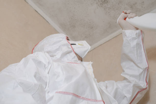 Bodfish, CA Mold Remediation Company